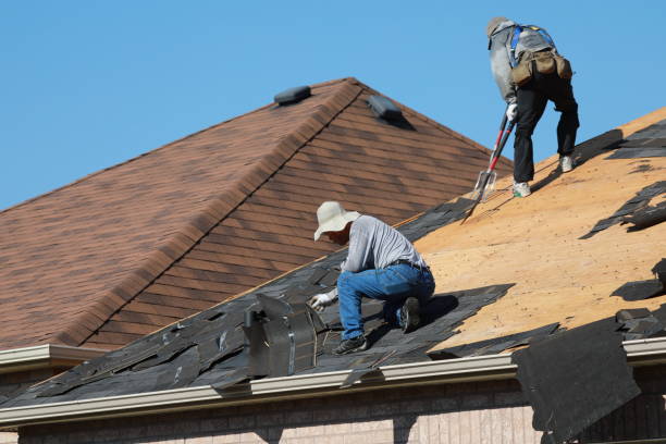 Best Roofing for New Construction  in Olga, FL