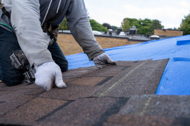 Best Roof Moss and Algae Removal  in Olga, FL